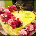 Anniversary Cakes 4